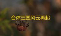 合体三国风云再起